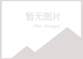 浙江夏岚会计有限公司